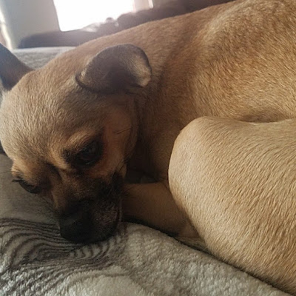 Meet your Posher, Idk